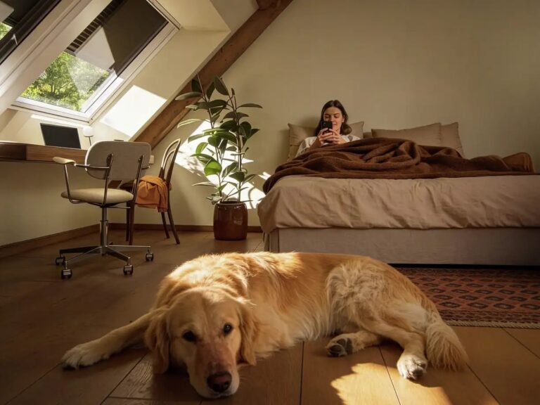 Doplnky a profesionálna montáž VELUX: Komfort pre Vaše podkrovie počas celého roka